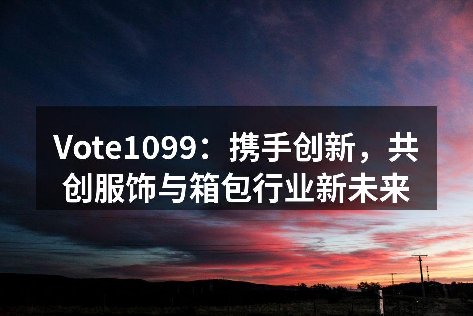 Vote1099团队在战略会议上讨论未来方向